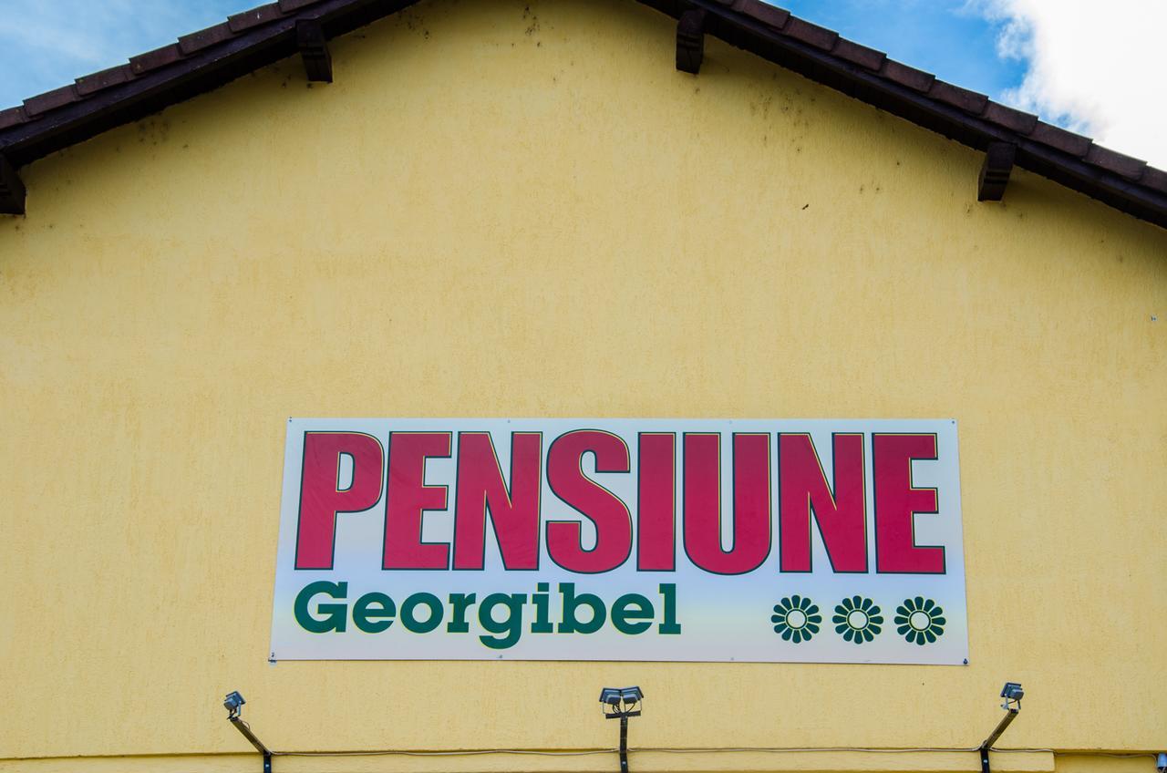 Pensiunea Georgibel Deva Dış mekan fotoğraf